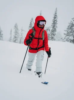 Burton Womens ak Summit GORE_TEX 2L Pants Regular