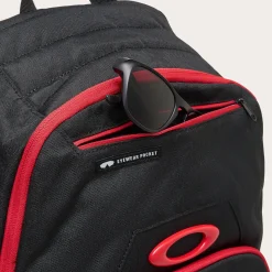 Oakley Enduro 25Lt 4.0