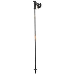 Salomon Icon Ergo S3