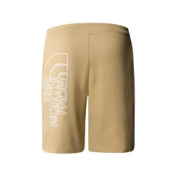 The North Face Mens Graphic Short Light