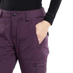 Volcom Womens Knox Ins Gore-Tex Pant